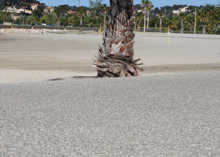 béton désactivé à Six Fours les plages